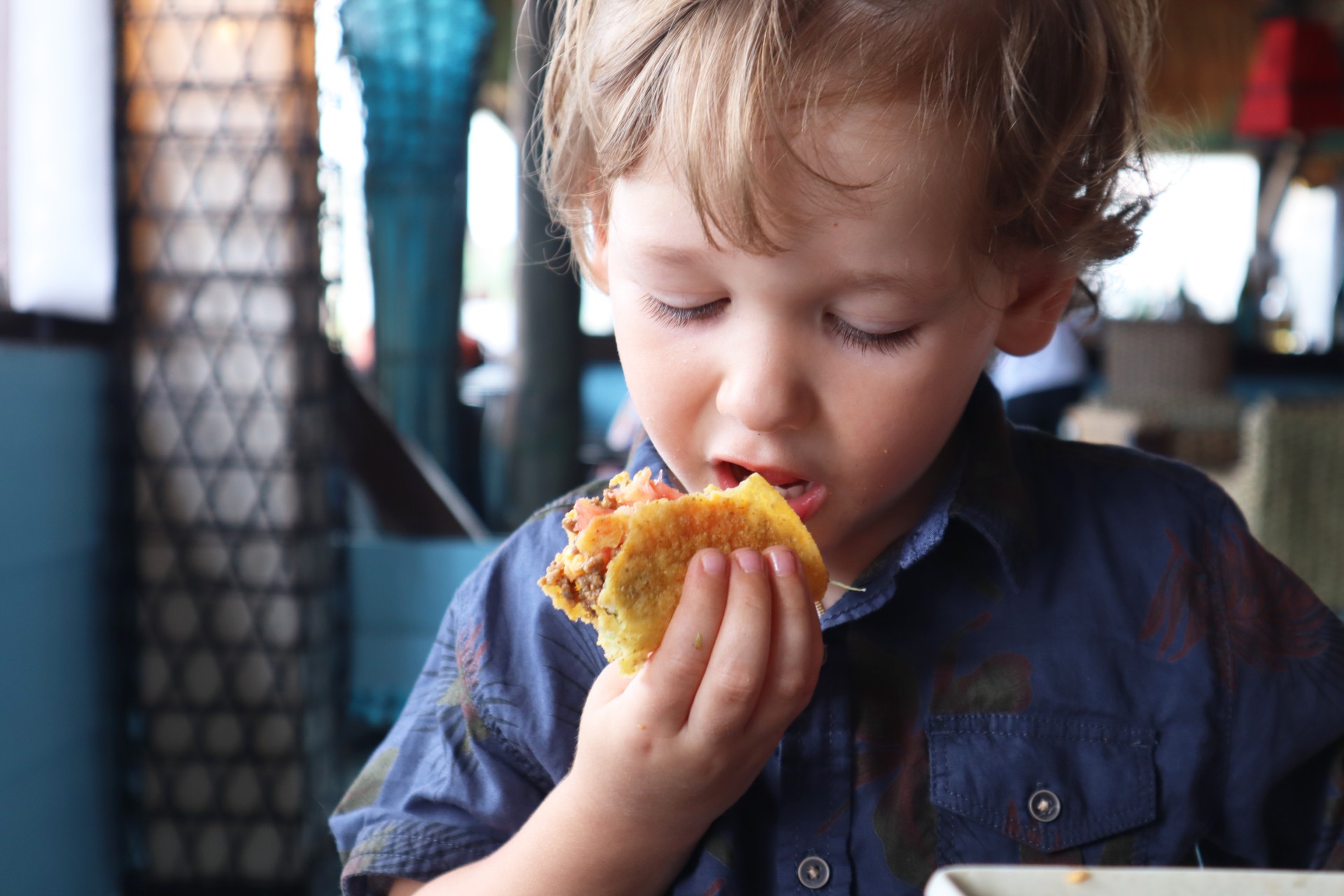 Young boy eating a taco