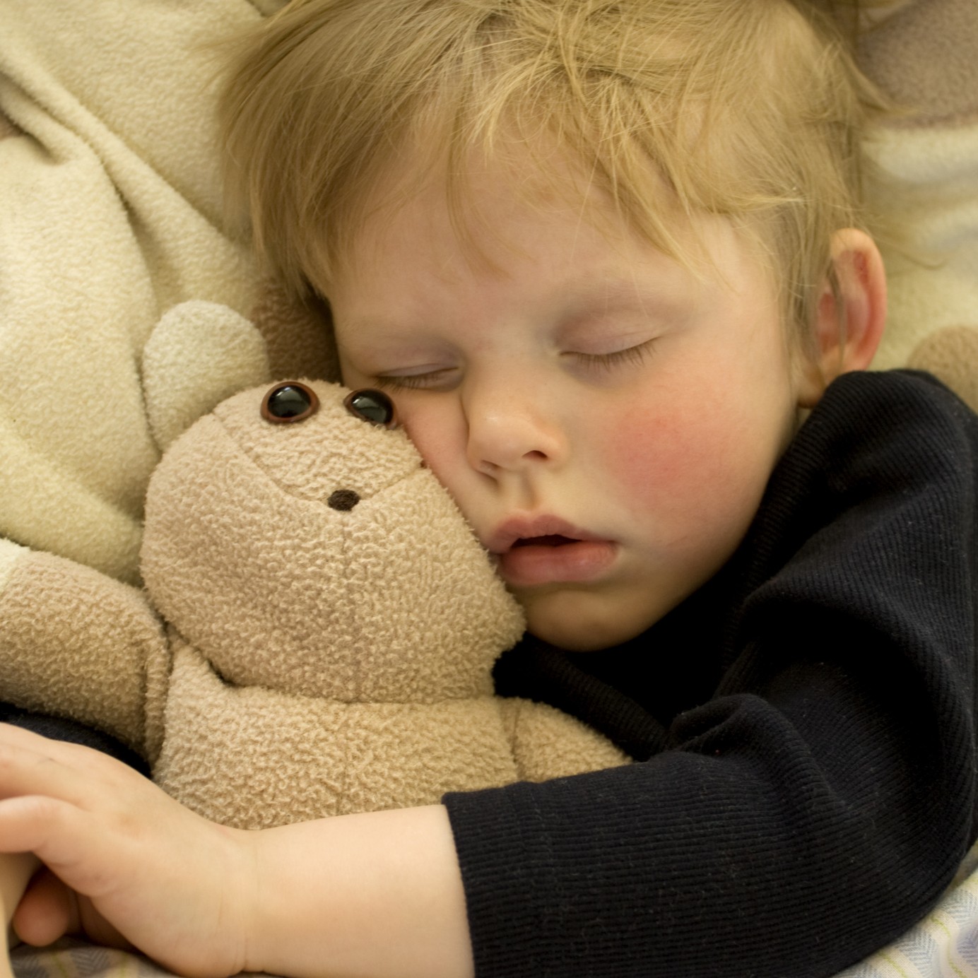 Preschool boy napping with Teddy bear