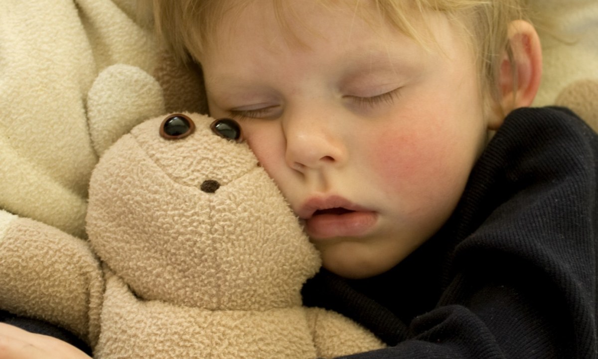 Preschool boy napping with Teddy bear