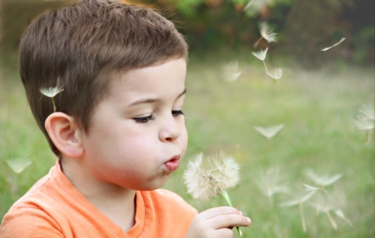 child blowing dandelion