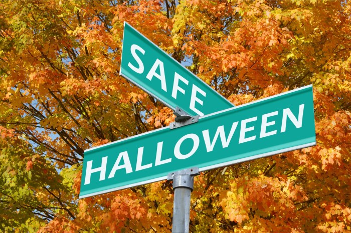 Halloween street sign for safety