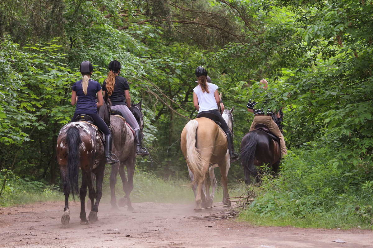 Tweens on a trail ride birthday party
