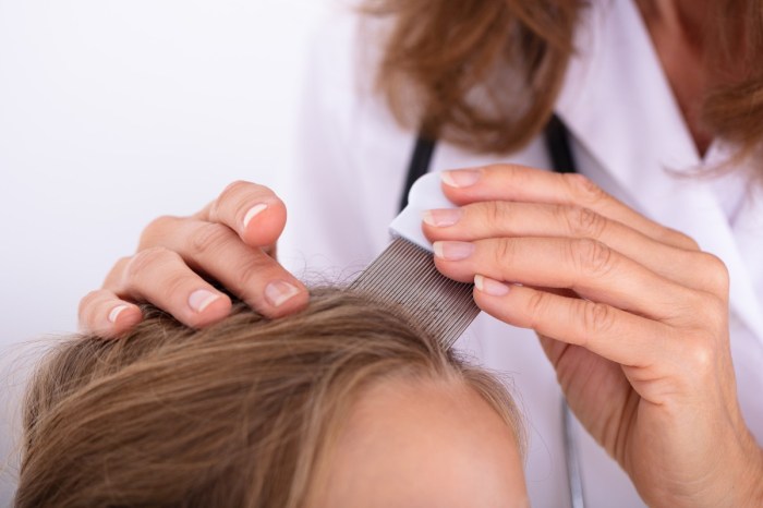 Parent combing child's hair for lice