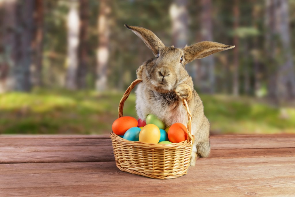Easter Egg Fillers Teens and Tweens Will Love | NewFolks