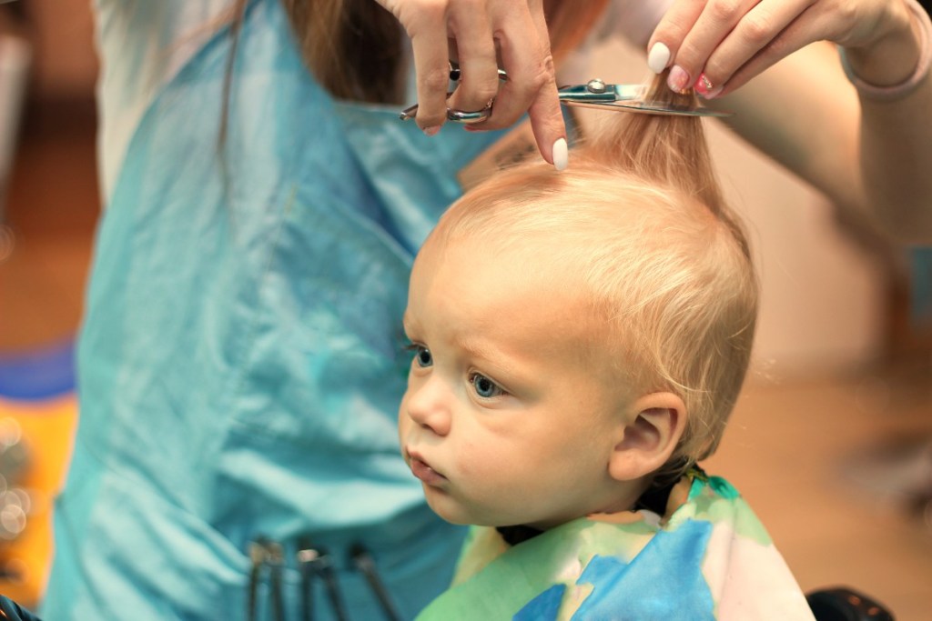 A toddler getting a haircut