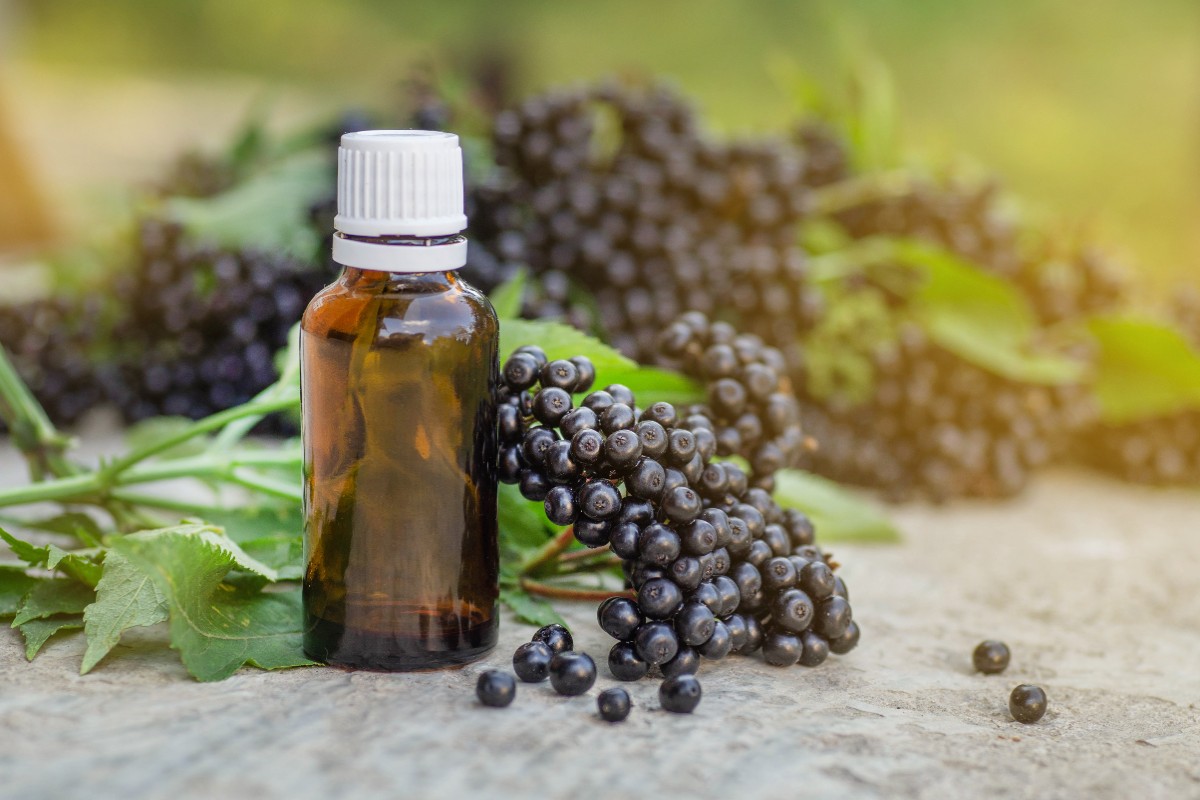 elderberry syrup