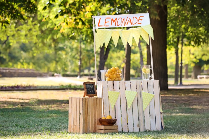 A kids' lemonade stand