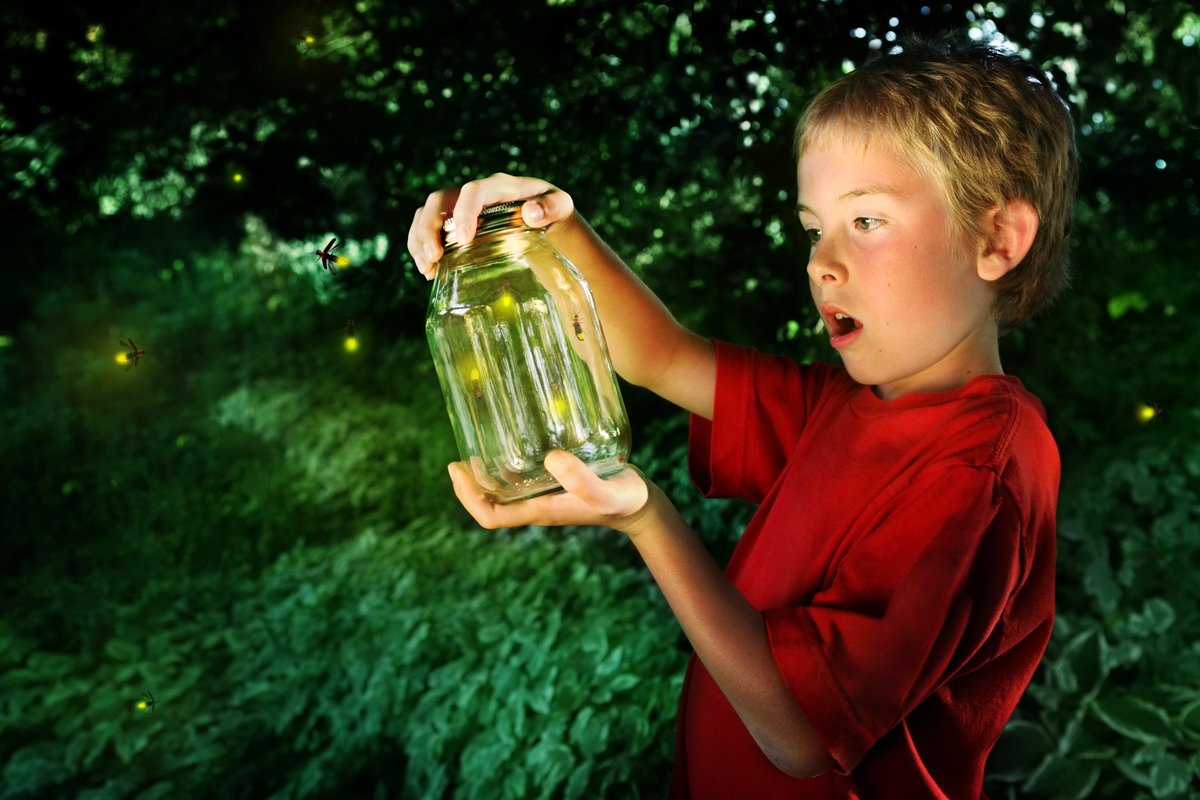 boy catching fireflies at a backyard party