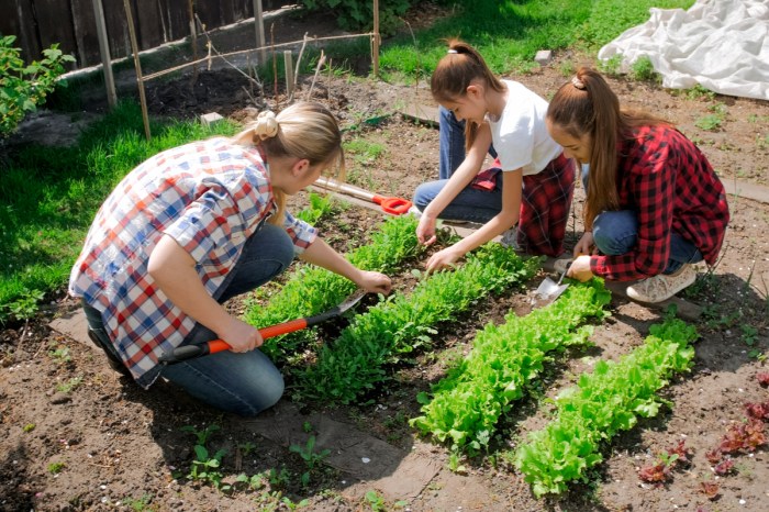 mom and tween daughters working together on family vegetable garden