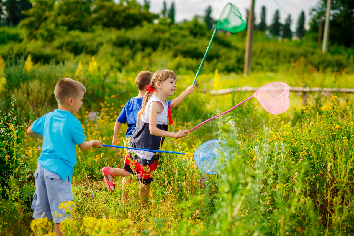 kids catching butterflies at a party