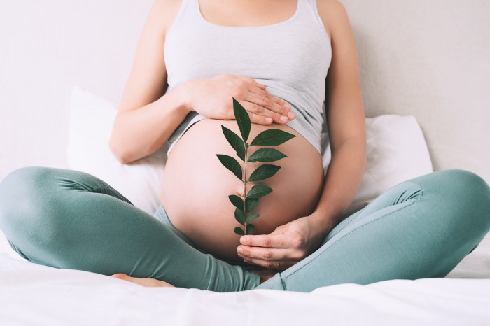 healthy pregnancy tips pregnant mom holding leaf