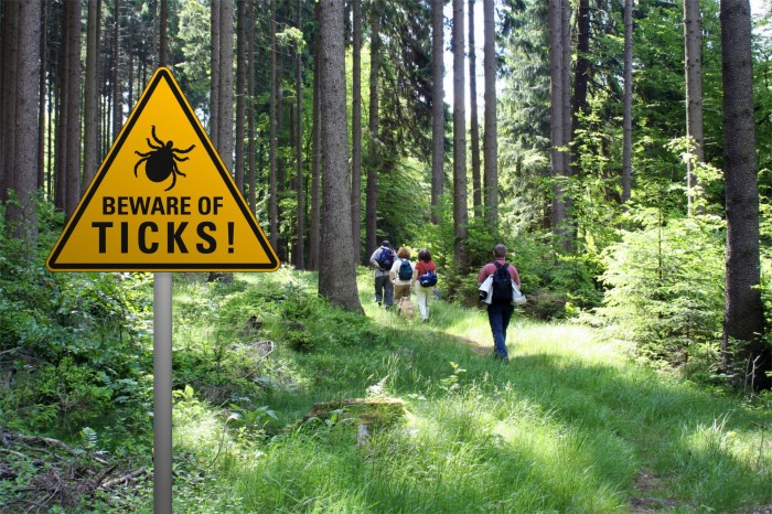prevent lyme disease tick warning sign in woods