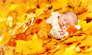 Baby sleeping In leaves
