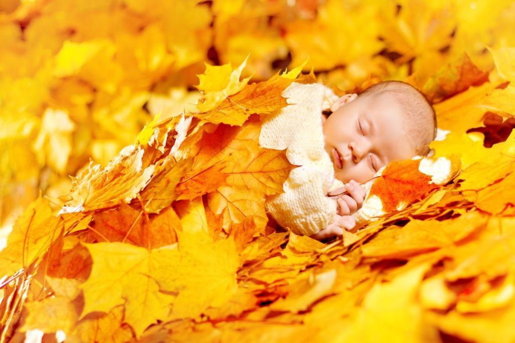 Baby sleeping In leaves