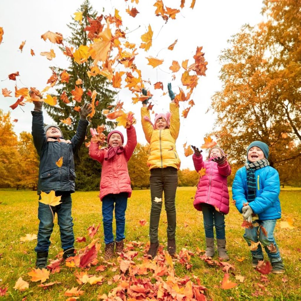 Kids Playing In Leaves