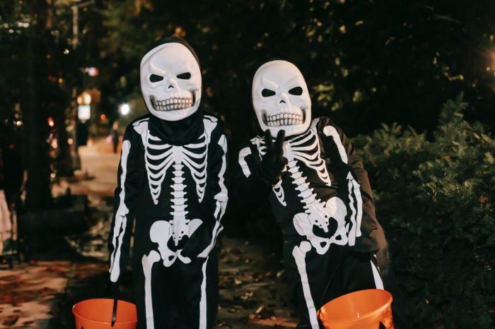 two children wearing matching skeleton costumes