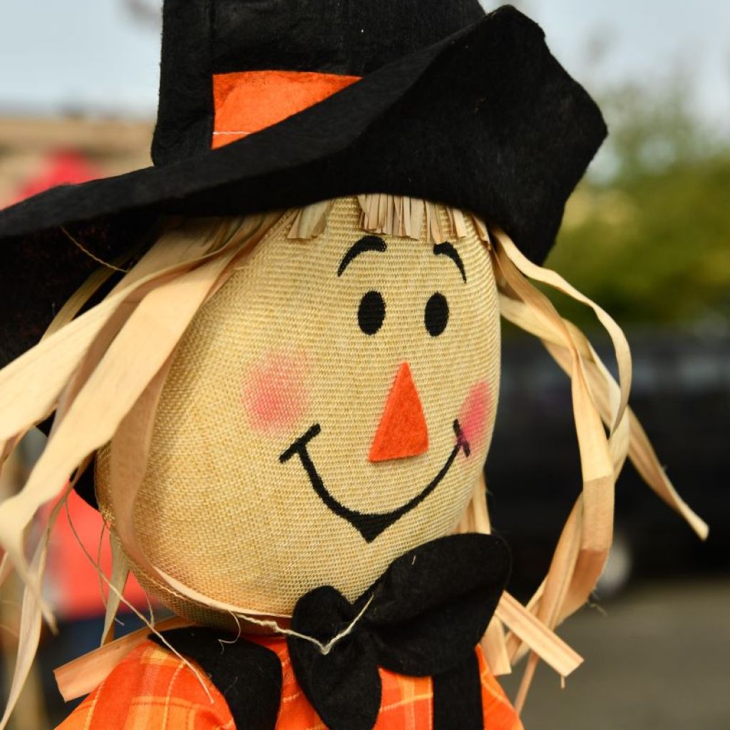 Scarecrow witch sitting outside.