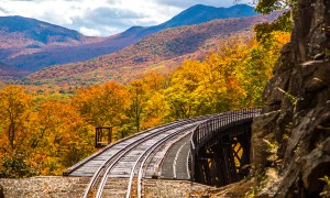 View from a scenic railroad fall foliage ride