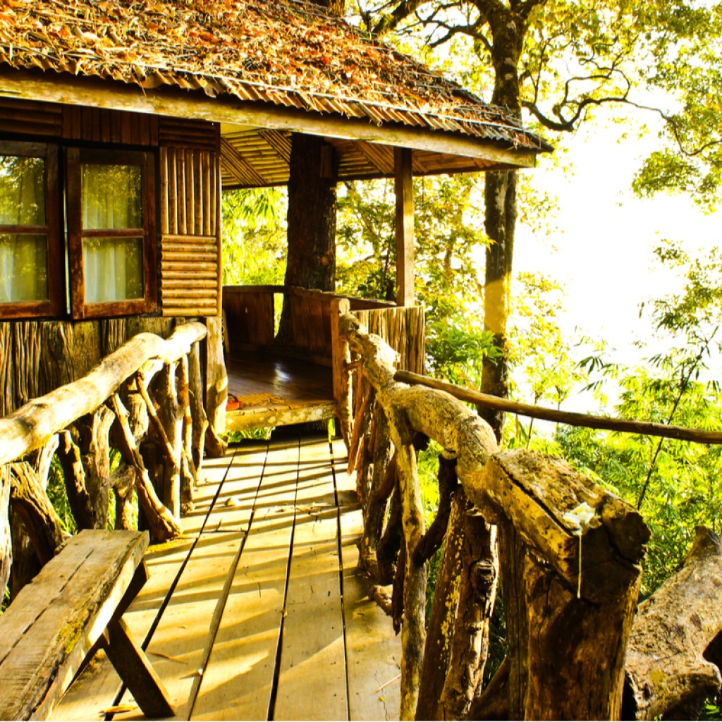 A beautiful tree house.