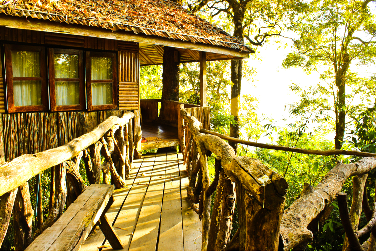 A beautiful tree house.