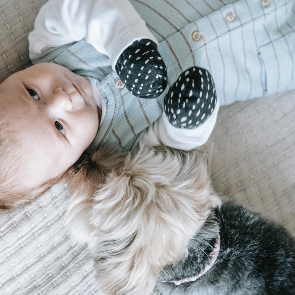 Baby laying on bed beside the dog