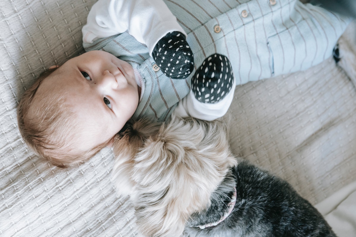 Baby laying on bed beside the dog