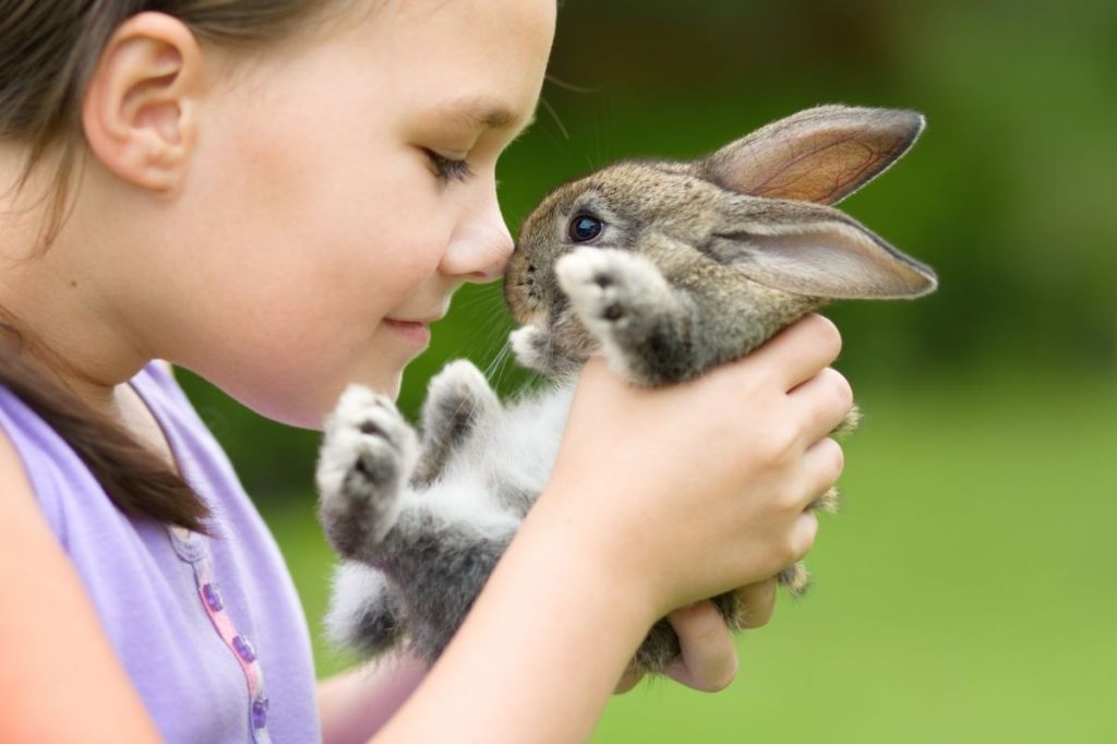 Child with bunny