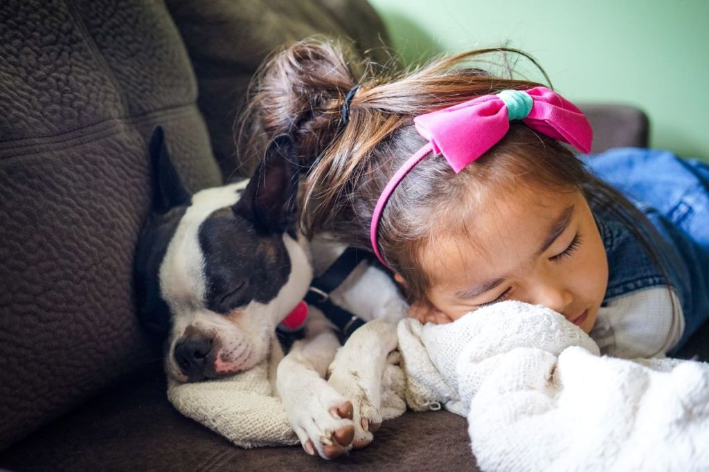 Little girl sleeping on the couch with the dog.