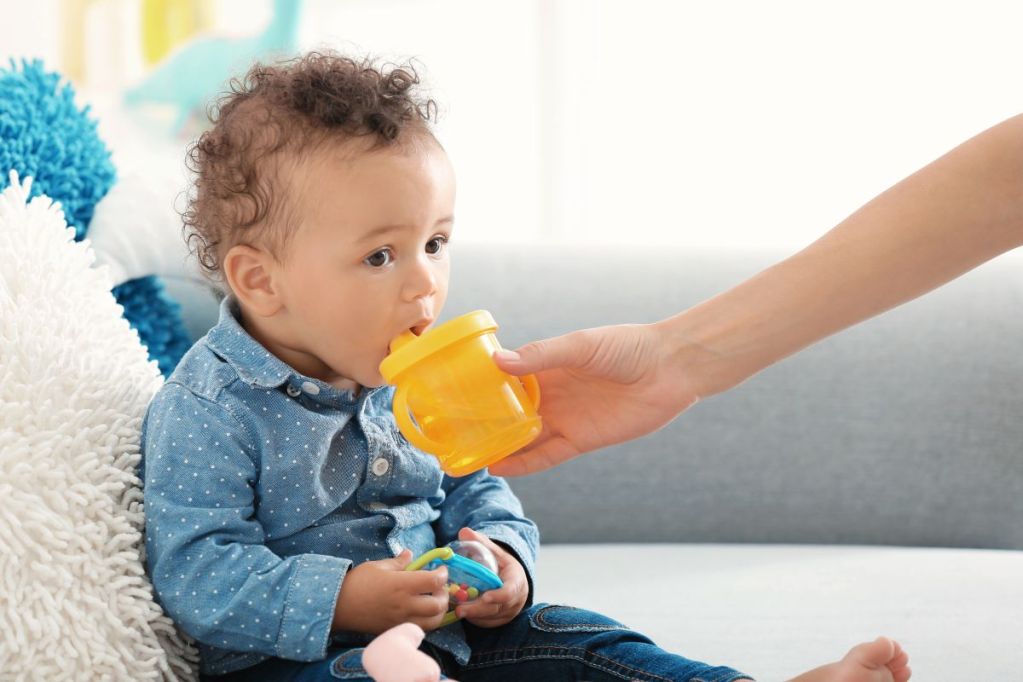 Toddler drinking from a sippy cup while the parents hold it.