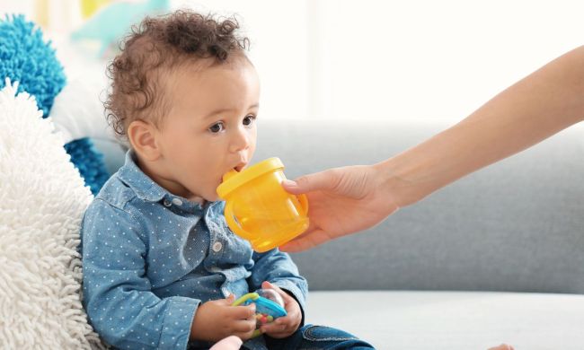 Toddler drinking from a sippy cup while the parents hold it.