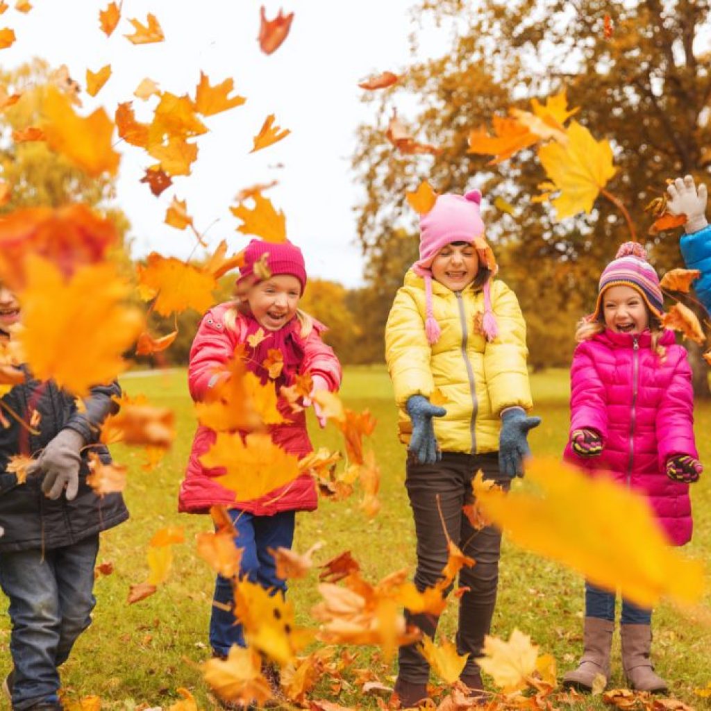 Kids playing in the leaves at a park in the fall