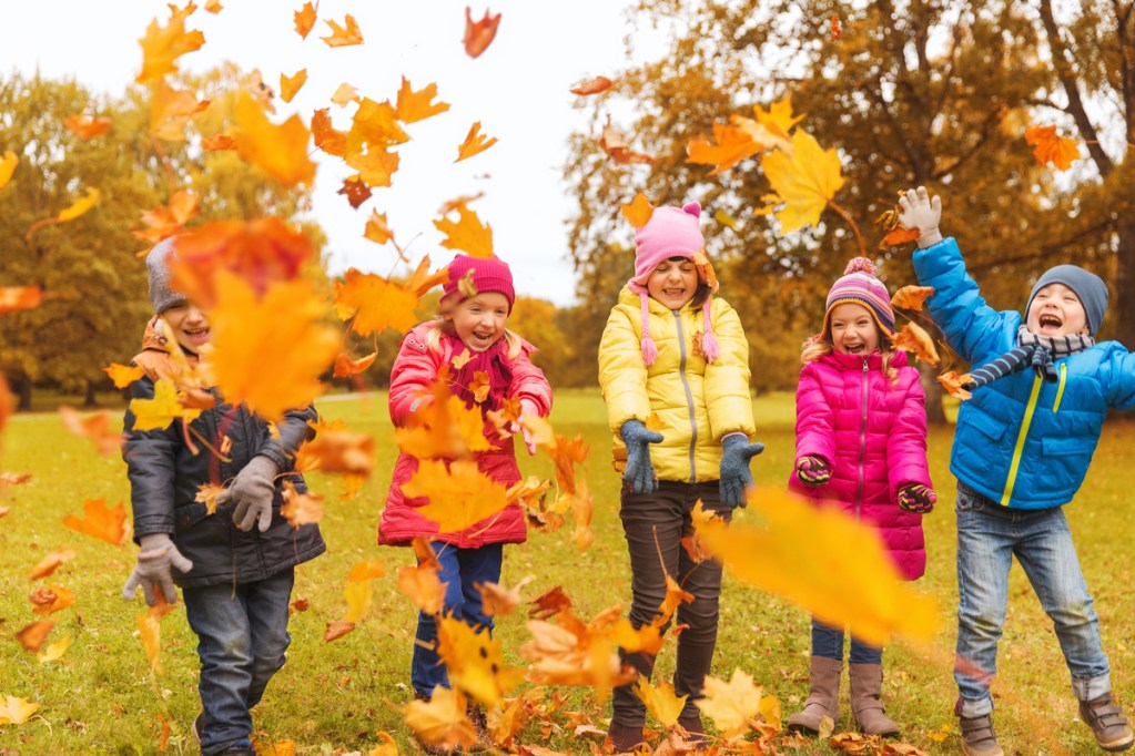 Kids playing in the leaves at a park in the fall