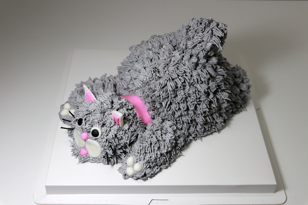 Cat cake