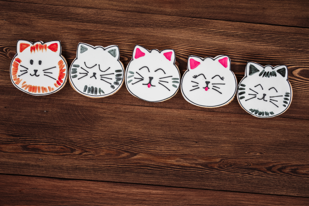 Cat cookies