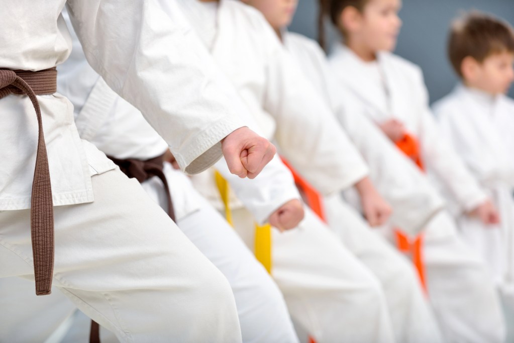 Group of kids on a karate mat during class