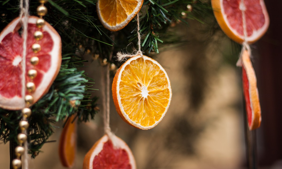 homemade dried orange sliced ornaments hanging from a tree