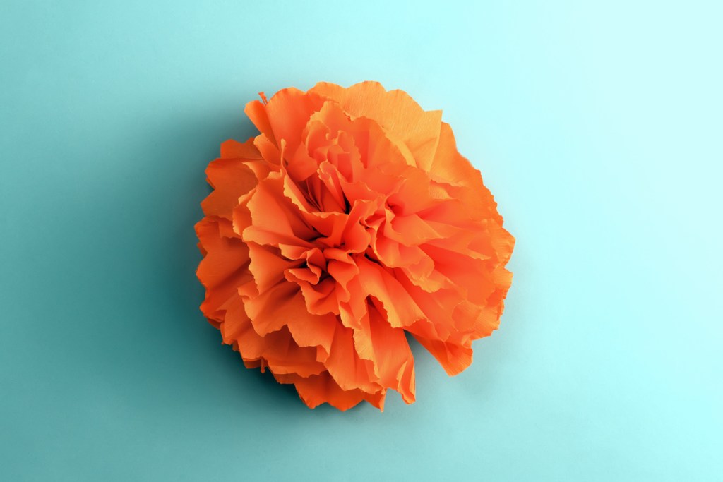 orange tissue paper flower