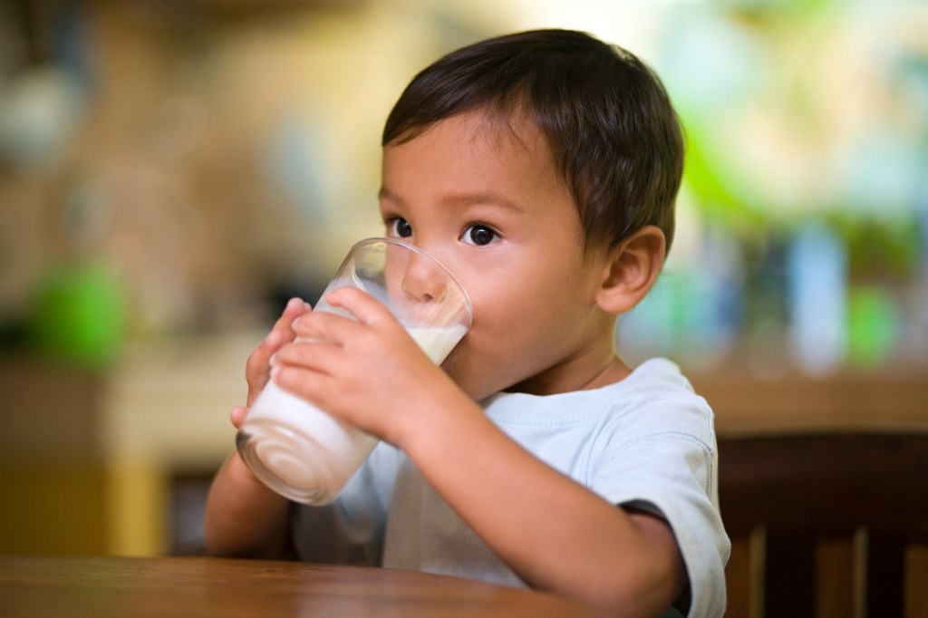 Toddler drinking milk out of a cup.