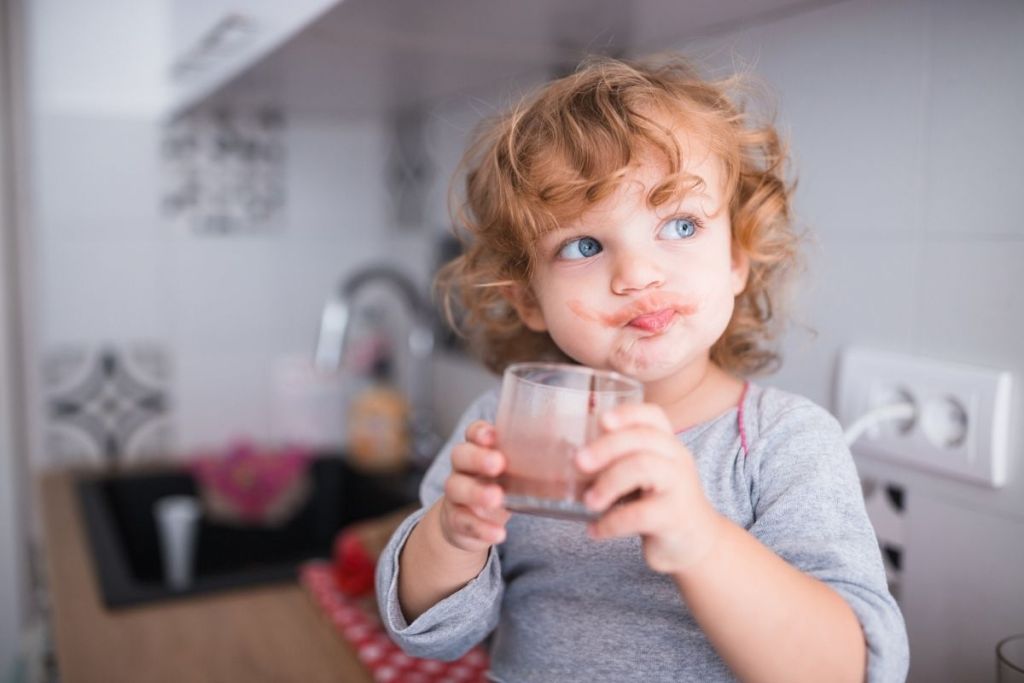 Toddler drinking chocolate protein drink