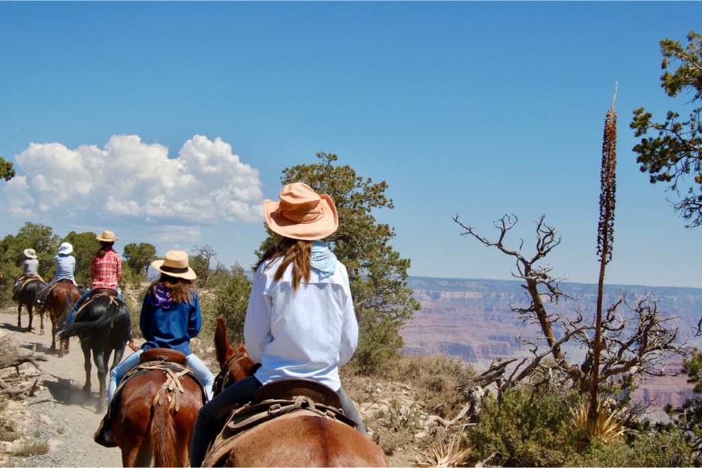 Family exploring the Grand Canyon by mule
