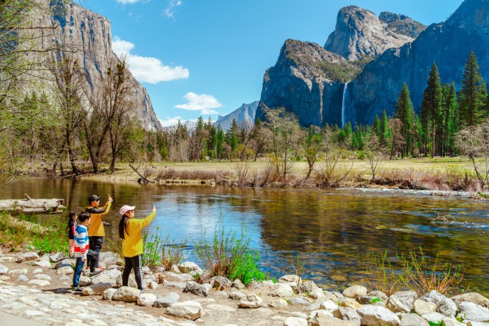A family taking in the sights at Yosemite Park