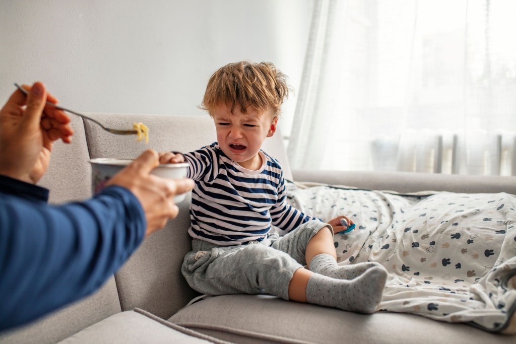 Toddler refuses to eat