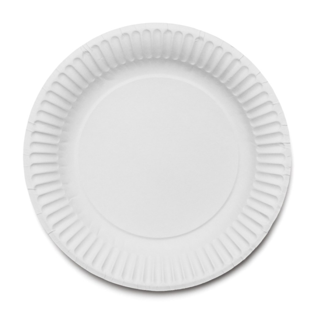 Paper plate to use for a craft project