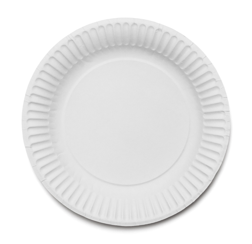 Paper plate to use for a craft project
