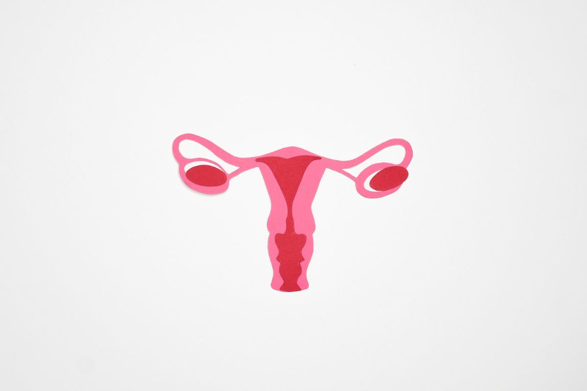 Diagram of a uterus