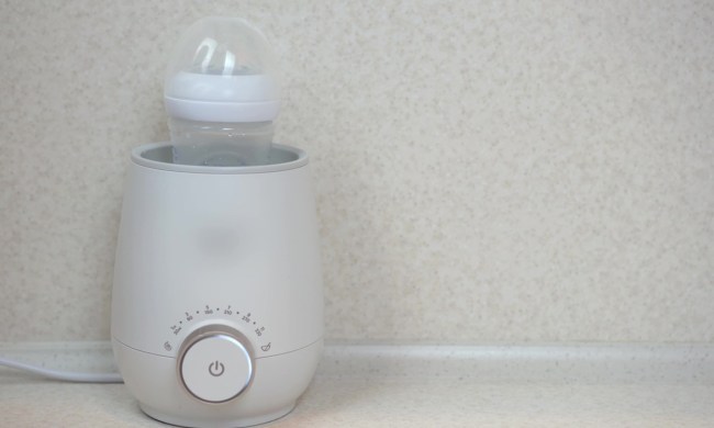 best baby bottle warmer 2024