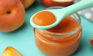 best organic baby food