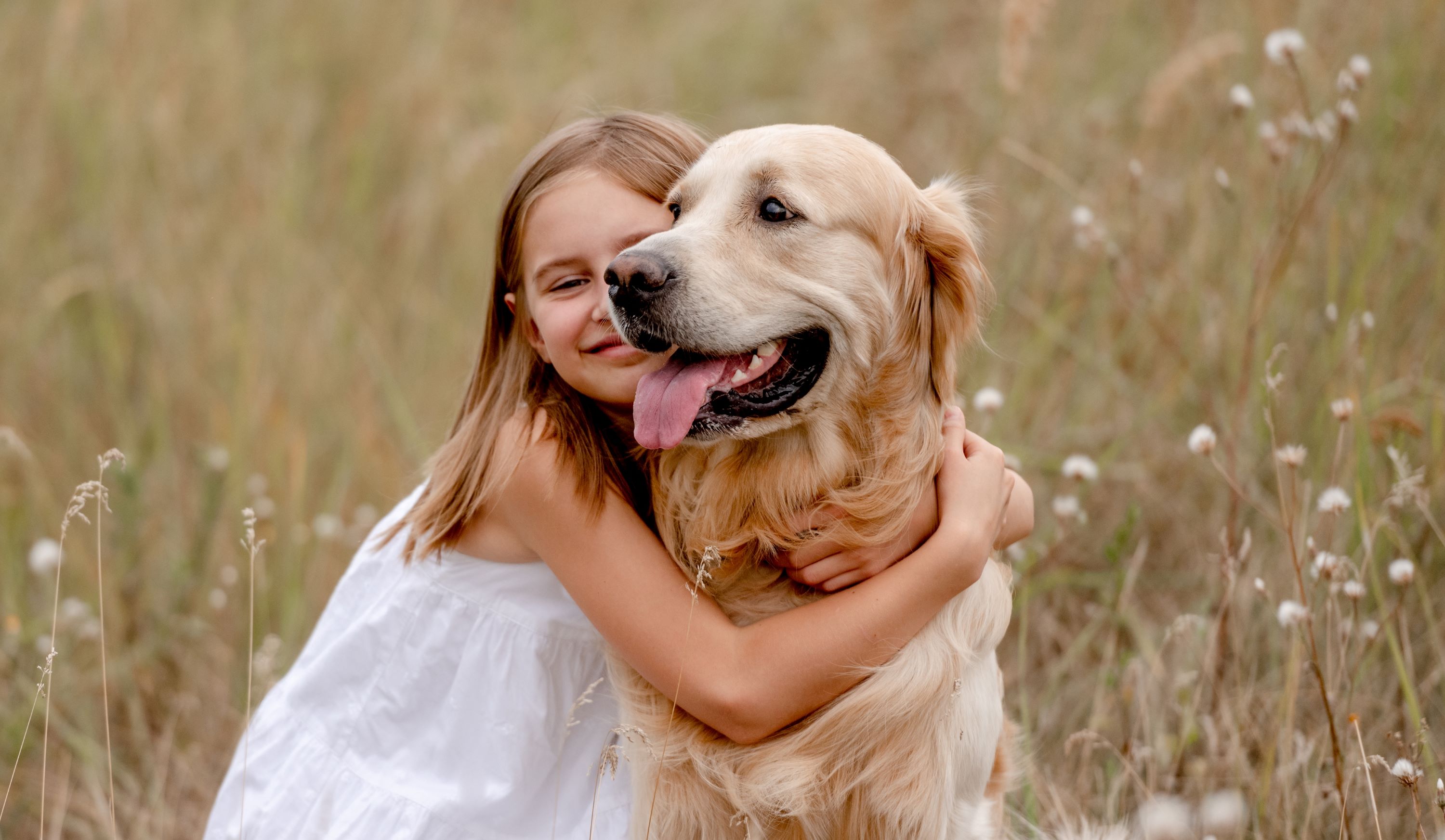 Girl in a field with a golden retriever