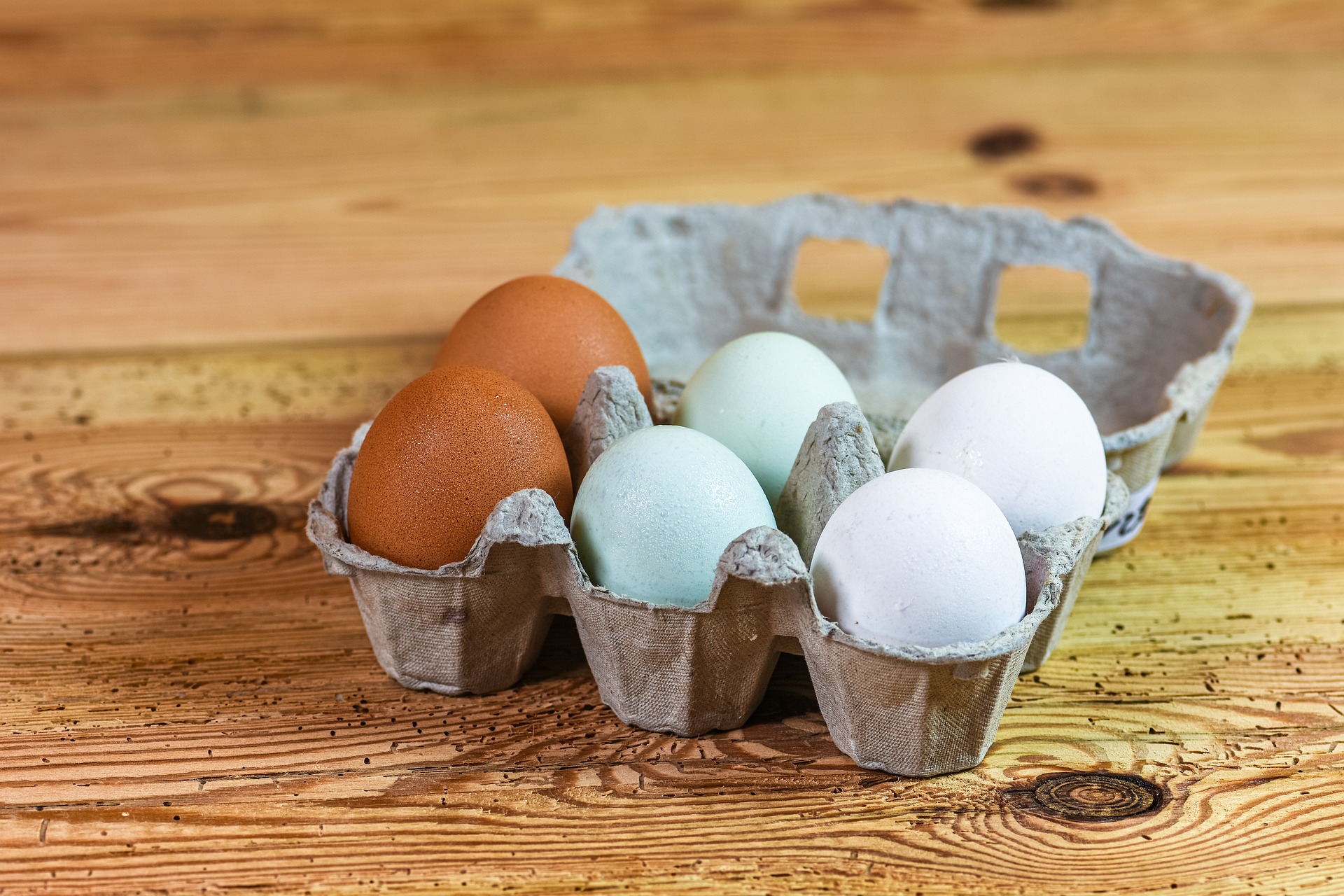 eggs in an egg carton